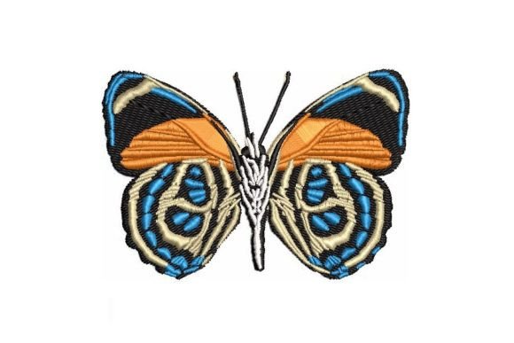 Callicaore Butterfly Embroidery Review