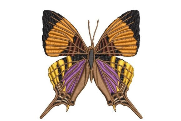 Marpesia Butterfly Embroidery Review